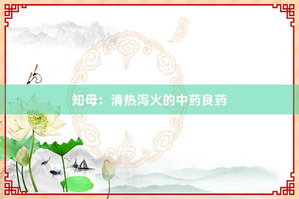 知母:清热泻火的中药良药